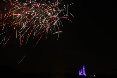 2010_fla_d5_130.jpg