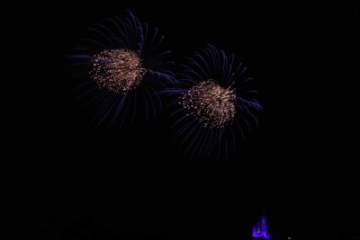 2010_fla_d5_137.jpg
