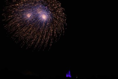 2010_fla_d5_143.jpg