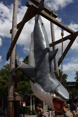2010_fla_d6_030.jpg