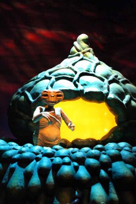 2010_fla_d6_052.jpg