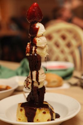 2010_fla_d7_221g.jpg