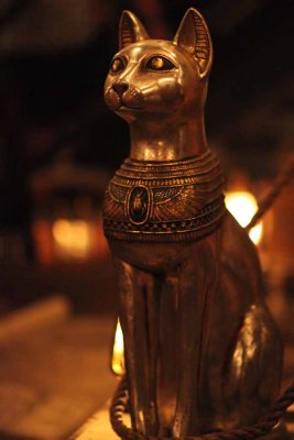 2010_fla_d8_126.jpg