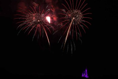 2010_fla_d8_230.jpg