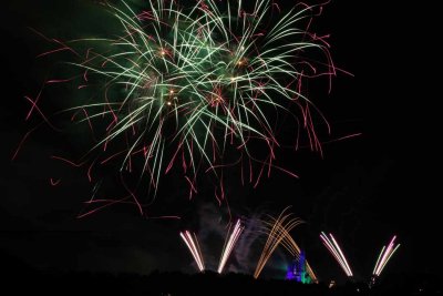 2010_fla_d8_235.jpg
