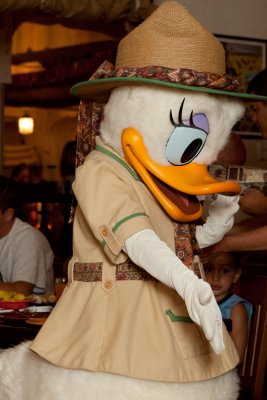 2010_fla_d9_019.jpg