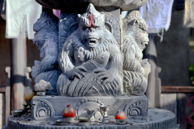 2010_fla_d9_025a.jpg
