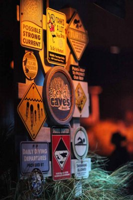 2010_fla_d9_116.jpg