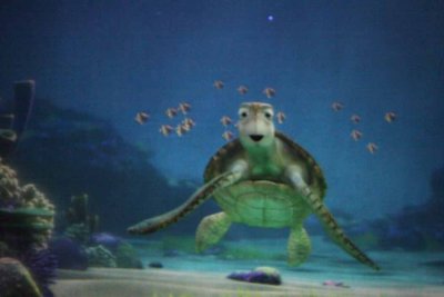 2010_fla_d9_127.jpg