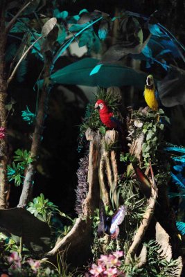 2010_fla_d9_132.jpg