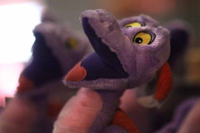 2010_fla_d9_142.jpg