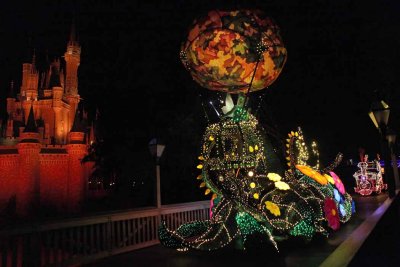 2010_fla_d9_163.jpg