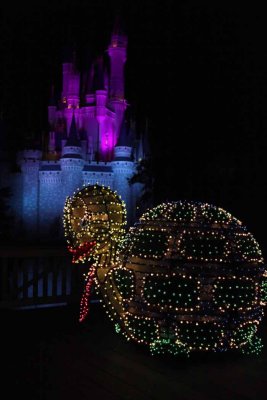 2010_fla_d9_169.jpg