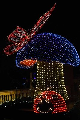 2010_fla_d9_170.jpg