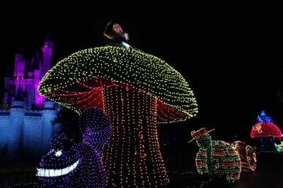 2010_fla_d9_171.jpg