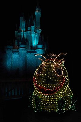2010_fla_d9_175.jpg