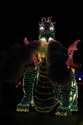 2010_fla_d9_187.jpg