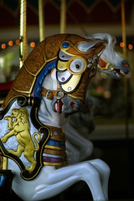 2010_fla_d10_034.jpg