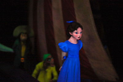 2010_fla_d10_039.jpg