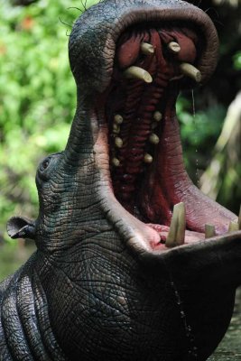 2010_fla_d10_122.jpg