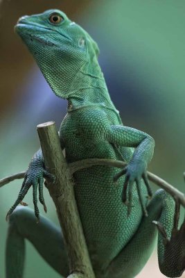 IMG_0450.jpg