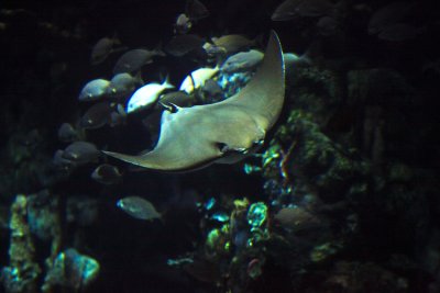 2010_fla_d10_134.jpg