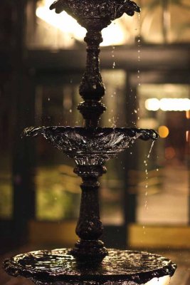 2011_fla_d4_142.jpg