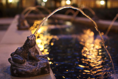 2011_fla_d5_013.jpg