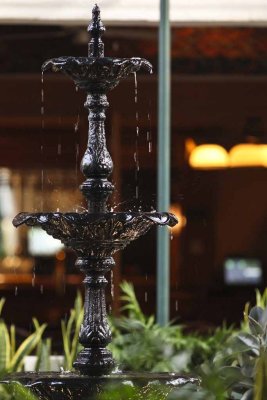 2011_fla_d5_020.jpg