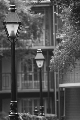 2011_fla_d5_030.jpg