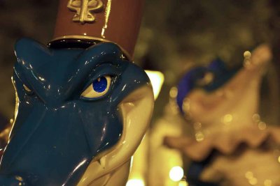 2011_fla_d5_266.jpg