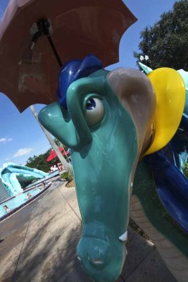 2011_fla_d10_050.jpg
