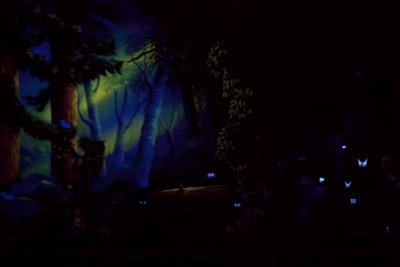 2011_fla_d5_222.jpg