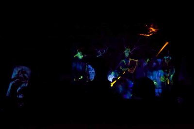 2011_fla_d5_249.jpg