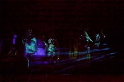 2011_fla_d5_250.jpg