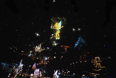 2011_fla_d9_022.jpg