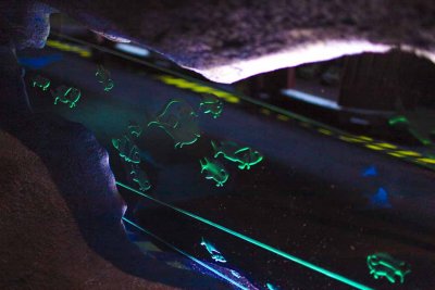 2011_fla_d9_027.jpg