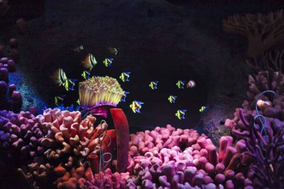2011_fla_d9_030.jpg