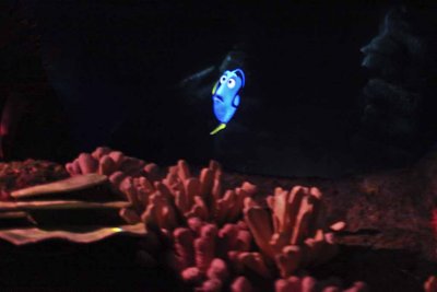 2011_fla_d9_031.jpg