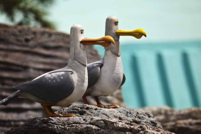 2011_fla_d9_036.jpg