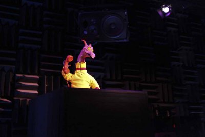 2011_fla_d9_048.jpg