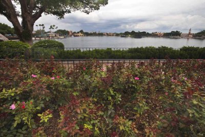 2011_fla_d9_081.jpg