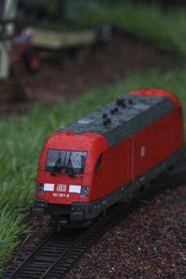 2011_fla_d9_162.jpg