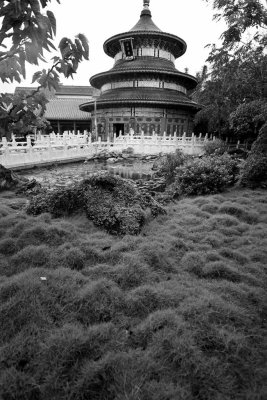 2011_fla_d9_169.jpg