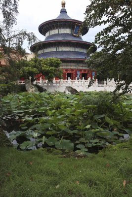 2011_fla_d9_218.jpg