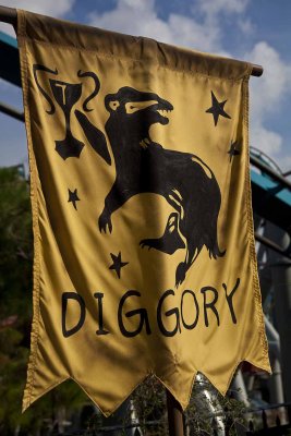 2011_fla_d6_073.jpg