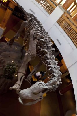 2011_fla_d6_088.jpg