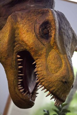 2011_fla_d6_095.jpg