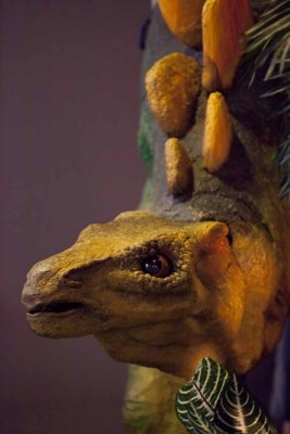 2011_fla_d6_096.jpg