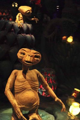 2011_fla_d6_166.jpg